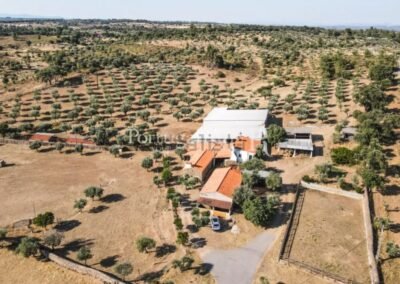 Hossian Quinta das Vaquinhas farm